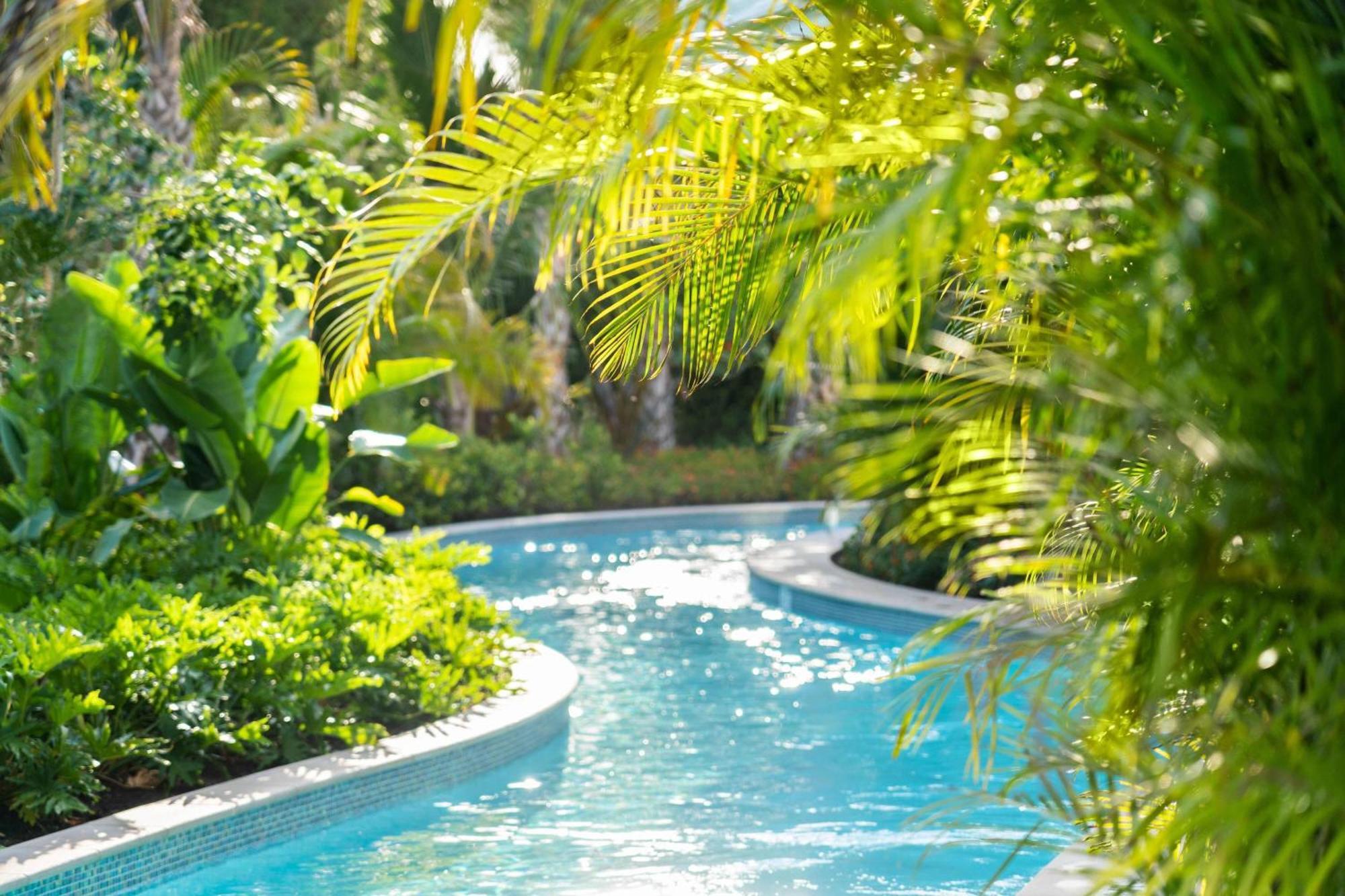 Hotel The Ritz-Carlton Naples, Tiburon Esterno foto